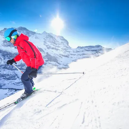 Allod Park Haus C 704 By Interhome Davos