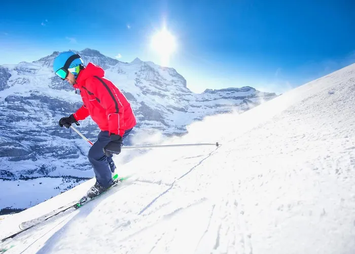 Allod Park Haus C 704 By Interhome Davos