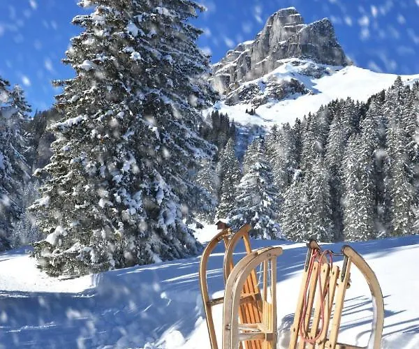 Allod Park Haus C 704 By Interhome Apartment Davos