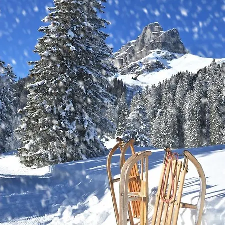 Allod Park Haus C 704 By Interhome Apartament Davos